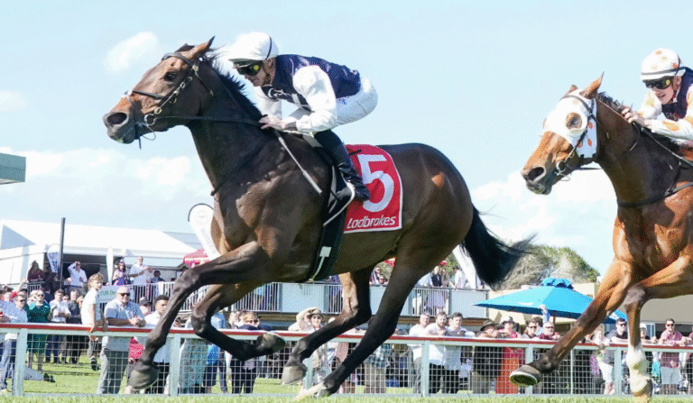 Understanding the Role of Horse Racing Stewards and Officials