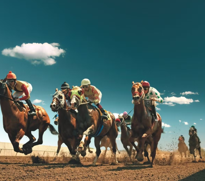 What Are the Different Horse Racing Track Surfaces, and How Do They Affect Performance?