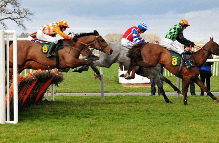 What Makes a Great Jockey? Qualities and Skills to Look For