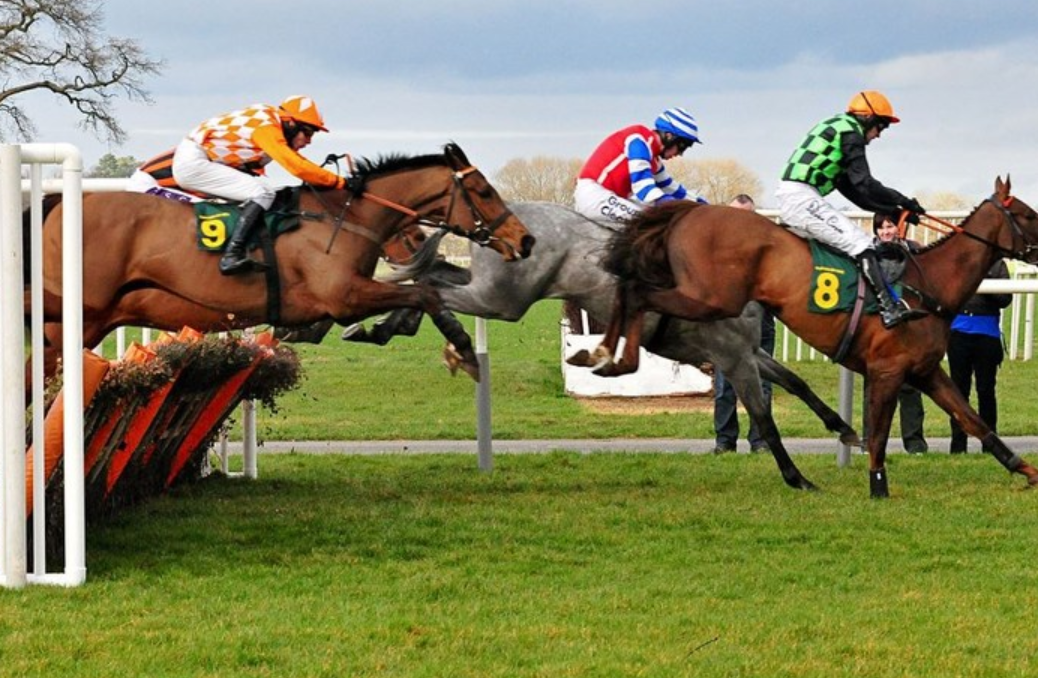 What Makes a Great Jockey? Qualities and Skills to Look For