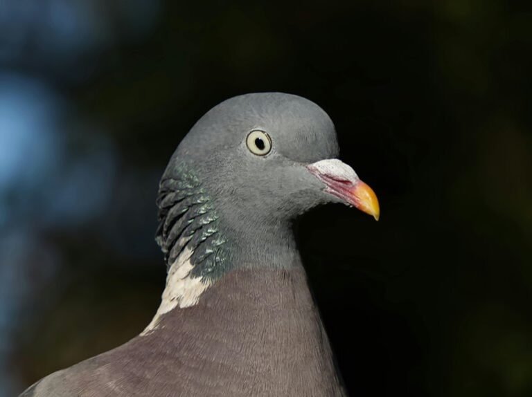 important guide about 0120993476