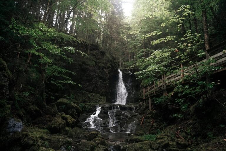 nova stream model vision 651750690