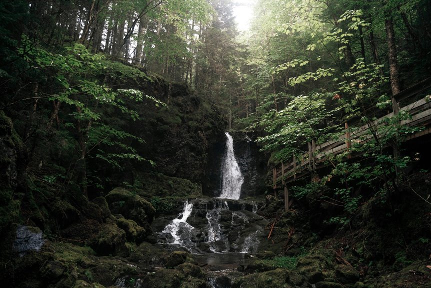 nova stream model vision 651750690